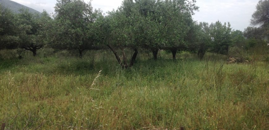 Land for sale in Faskomilia. (018)
