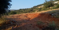 For sale 14 acres in Sivota (108)