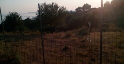 For sale 14 acres in Sivota (108)