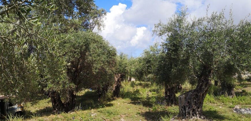 For sale Plot of 796m2 in Sivota 80,000 euros. (510)