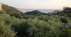 For sale Plot of 444 m2 in Sivota 125,000 euros. (515)