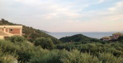 For sale Plot of 444 m2 in Sivota 125,000 euros. (515)