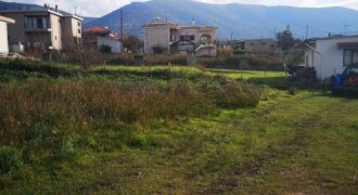 Plot for sale 1,010 sq.m. in Fascomilia €58,000 (333)