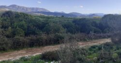 Land for sale 4.5 acres in Kestrini (120)