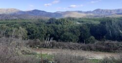 Land for sale 4.5 acres in Kestrini (120)