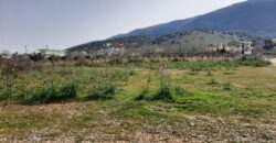 Land for sale in Ampelia Igoumenitsa (322)