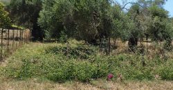 For sale a privileged Plot of 311 sq.m. in Sivota, Thesprotia € 75,000 (204)