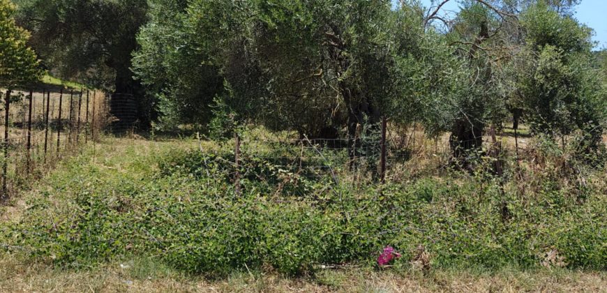 For sale a privileged Plot of 311 sq.m. in Sivota, Thesprotia € 75,000 (204)