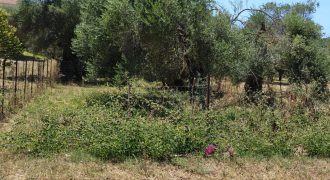 Πωλείται προνομιακό  Οικόπεδο 311  τ.μ. στα Σύβοτα Θεσπρωτίας 75.000€ (204)