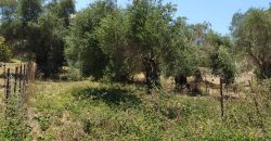 For sale a privileged Plot of 311 sq.m. in Sivota, Thesprotia € 75,000 (204)