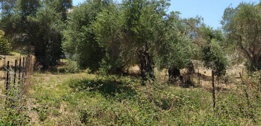 Πωλείται προνομιακό  Οικόπεδο 311  τ.μ. στα Σύβοτα Θεσπρωτίας 75.000€ (204)