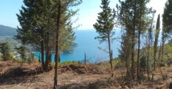 Plot of land for sale in Arillas Perdikas 26,780 sq.m. €1,300,000 (139)