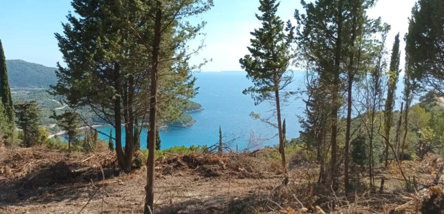 Plot of land for sale in Arillas Perdikas 26,780 sq.m. €1,300,000 (139)