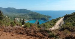 Plot of land for sale in Arillas Perdikas 26,780 sq.m. €1,300,000 (139)