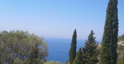 Plot of land for sale in Arillas Perdikas 26,780 sq.m. €1,300,000 (139)