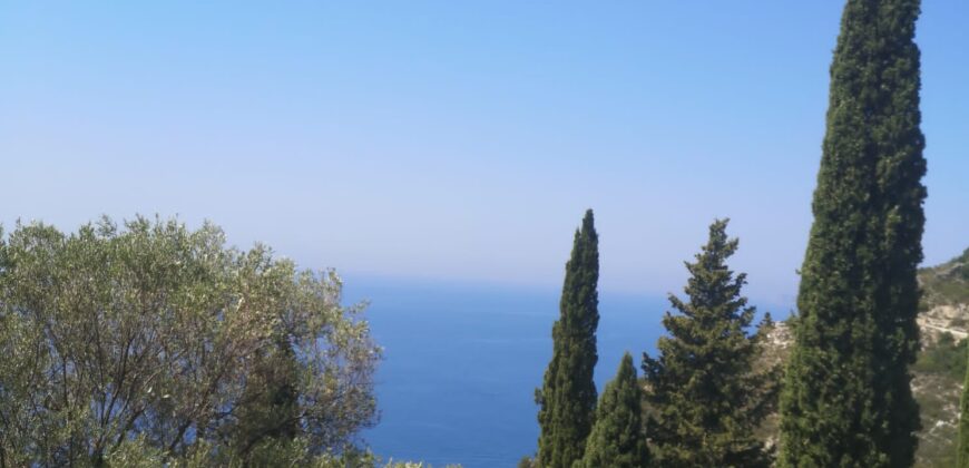 Plot of land for sale in Arillas Perdikas 26,780 sq.m. €1,300,000 (139)