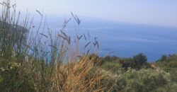 Plot of land for sale in Arillas Perdikas 26,780 sq.m. €1,300,000 (139)