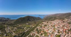Πωλούνται δύο αγροτεμάχια – ελαιώνες συν. εμ. 9.733 τ.μ.  στην Πέρδικα Θεσπρωτίας 170.000€ (137)