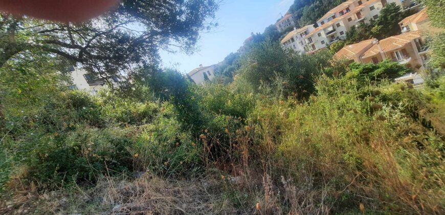 Πωλείται οικόπεδο 917 τ.μ. με εξαιρετική θέα στα Σύβοτα Θεσπρωτίας  330.000€ (207)