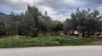 Πωλείται οικόπεδο 670 τ.μ. στο Λαδοχώρι Ηγουμενίτσας 90.000€ (571)