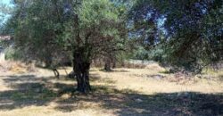 Plot for sale 1,248 sq.m. in Perdika Thesprotia. €100,000 (113)