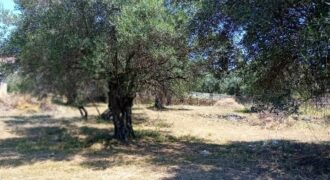 Plot for sale 1,248 sq.m. in Perdika Thesprotia. €100,000 (113)