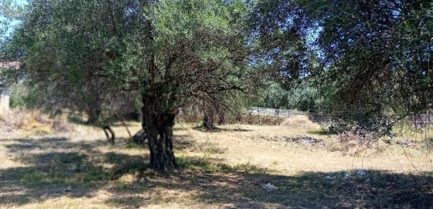 Plot for sale 1,248 sq.m. in Perdika Thesprotia. €100,000 (113)