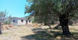 Plot for sale 1,248 sq.m. in Perdika Thesprotia. €100,000 (113)