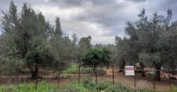 Πωλείται οικόπεδο 670 τ.μ. στο Λαδοχώρι Ηγουμενίτσας 90.000€ (571)