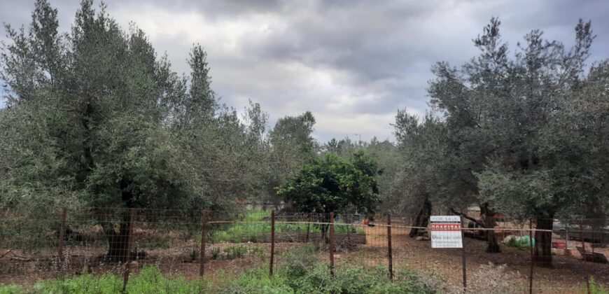 Πωλείται οικόπεδο 670 τ.μ. στο Λαδοχώρι Ηγουμενίτσας 90.000€ (571)