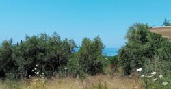 Plot for sale 1,248 sq.m. in Perdika Thesprotia. €100,000 (113)