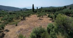 Four plots of land for sale in Perdika Thesprotia. €49,0000 each. (414)