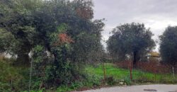 Πωλείται οικόπεδο 275 τ.μ. στα Σύβοτα Θεσπρωτίας 69.000€  (215)