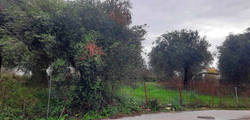 Πωλείται οικόπεδο 275 τ.μ. στα Σύβοτα Θεσπρωτίας 69.000€  (215)