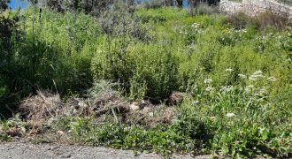 Πωλείται πανοραμικό οικόπεδο 555,25 τ.μ. στην Πλαταριά Θεσπρωτίας 140.000€  (335)