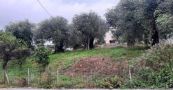 Πωλείται οικόπεδο 275 τ.μ. στα Σύβοτα Θεσπρωτίας 69.000€  (215)