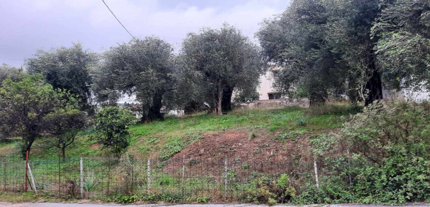 Πωλείται οικόπεδο 275 τ.μ. στα Σύβοτα Θεσπρωτίας 69.000€  (215)