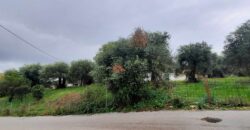 Πωλείται οικόπεδο 275 τ.μ. στα Σύβοτα Θεσπρωτίας 69.000€  (215)