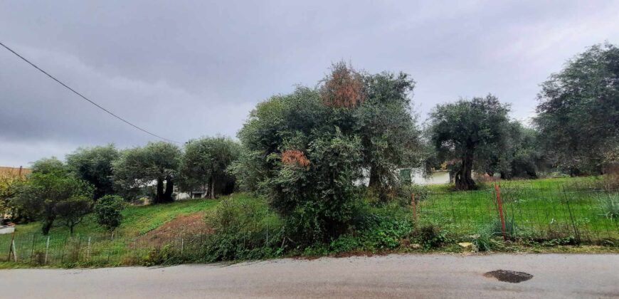 Πωλείται οικόπεδο 275 τ.μ. στα Σύβοτα Θεσπρωτίας 69.000€  (215)