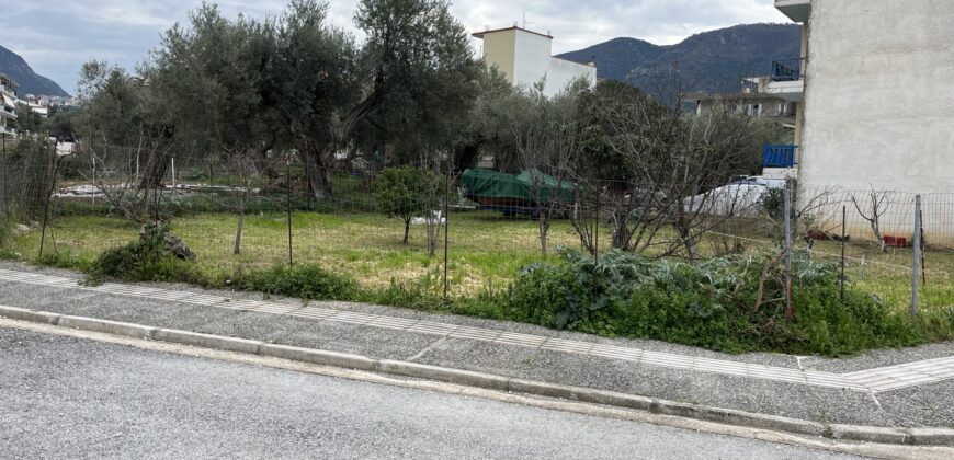 Πωλείται γωνιακό οικόπεδο 393 τ.μ. στην Ηγουμενίτσα Θεσπρωτίας. 180.000€ (576)