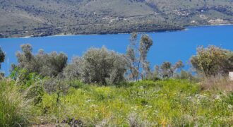Panoramic plot of 555,25 sq.m. for sale. in Plataria Thesprotia €158,000 (335)