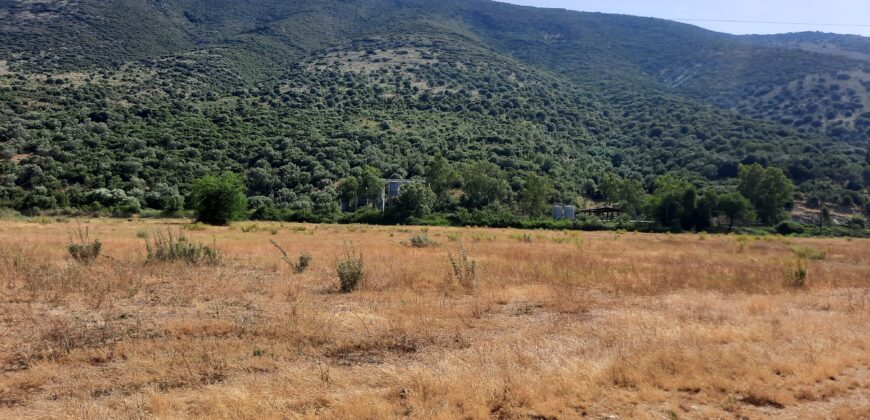 Πωλούνται δύο αγροτεμάχια στην Πλαταριά Θεσπρωτίας. 95.000€ το καθένα. (338)