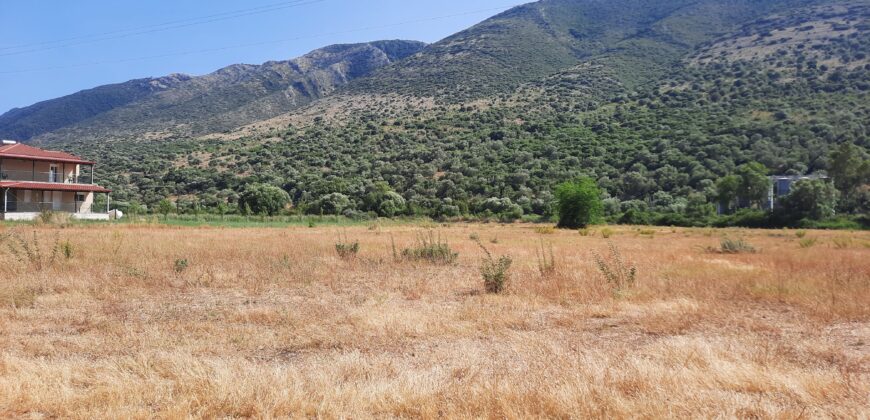 Πωλούνται δύο αγροτεμάχια στην Πλαταριά Θεσπρωτίας. 95.000€ το καθένα. (338)