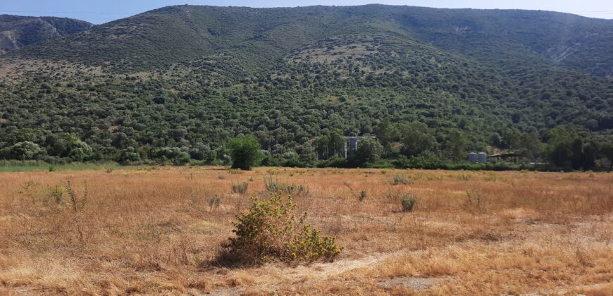 Πωλούνται δύο αγροτεμάχια στην Πλαταριά Θεσπρωτίας. 95.000€ το καθένα. (338)