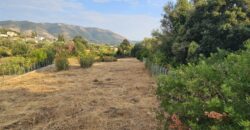 Plot of 1,821.35 sq.m. for sale. in Kastri Igoumenitsa. €19,500 (578)