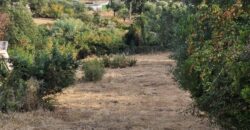 Plot of 1,821.35 sq.m. for sale. in Kastri Igoumenitsa. €19,500 (578)