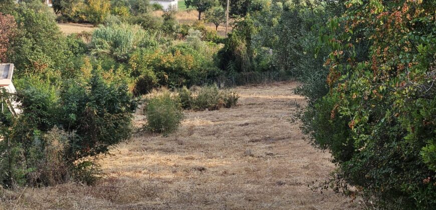 Plot of 1,821.35 sq.m. for sale. in Kastri Igoumenitsa. €19,500 (578)