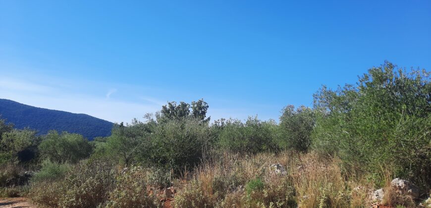 Plot of land 5,688 sq.m. for sale. in Perdika Thesprotia. €100,000 (116)