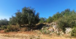 Plot of land 5,688 sq.m. for sale. in Perdika Thesprotia. €100,000 (116)