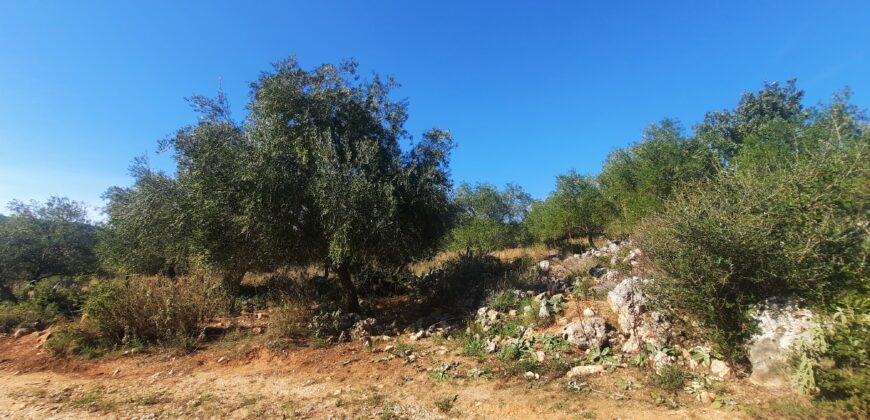 Plot of land 5,688 sq.m. for sale. in Perdika Thesprotia. €100,000 (116)